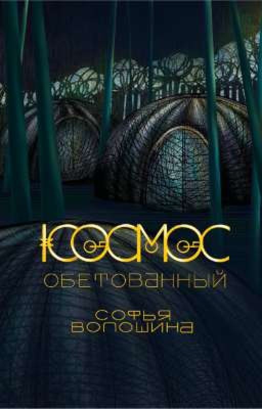 КОСМОС ОБЕТОВАННЫЙ