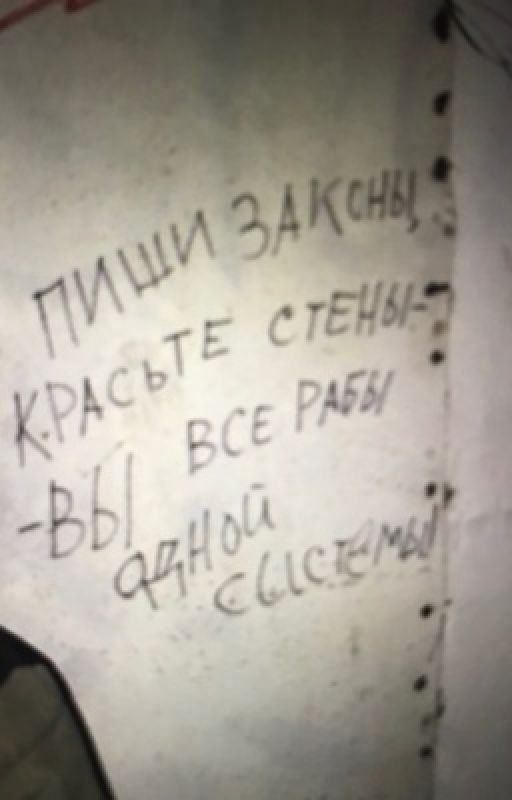 Журналистка