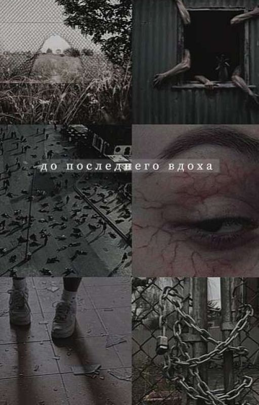 До Последнего Вдоха (хёнликсы)