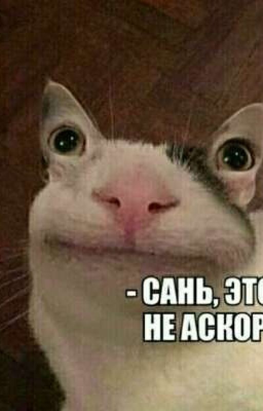картинки