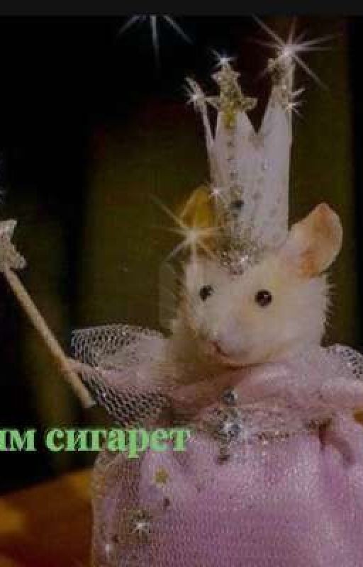 дым сигарет
