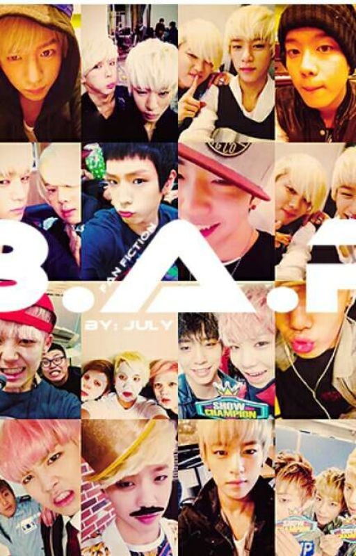 Schipper B.A.P