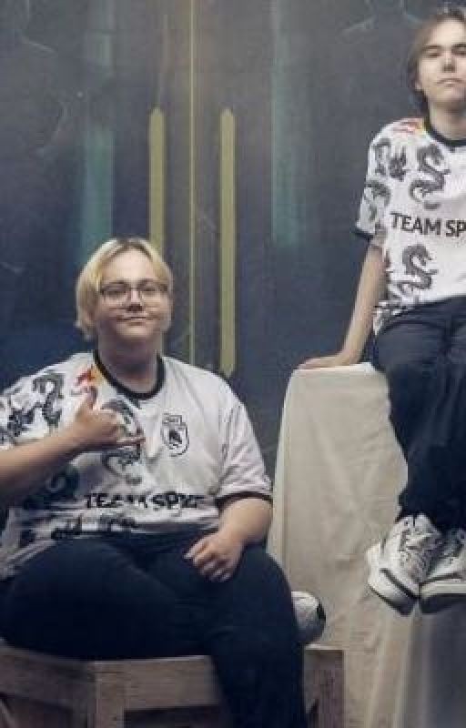 Интервью с team spirit {Donk}