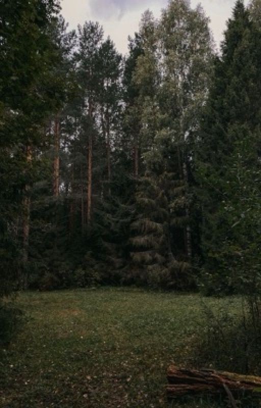 Между пеплом и мороком