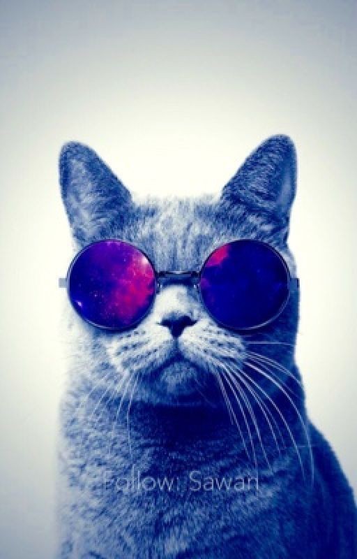 Прикольные картинки и заставки