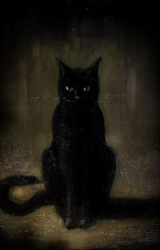 Кот