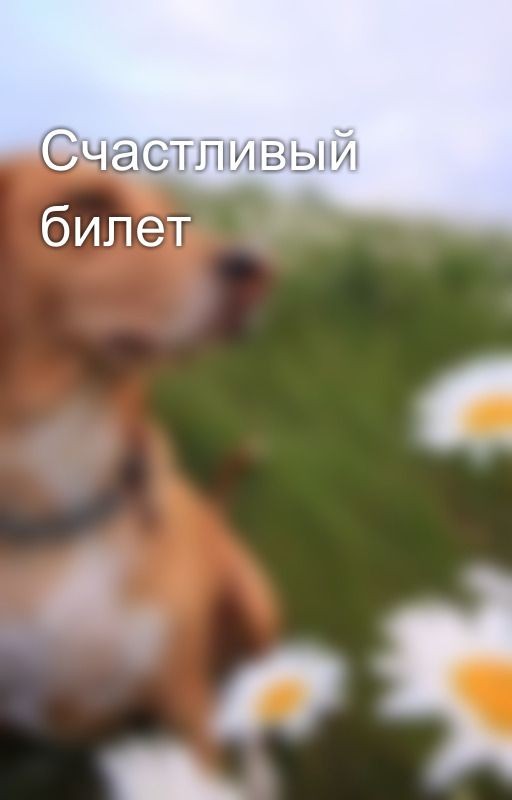 Счастливый билет