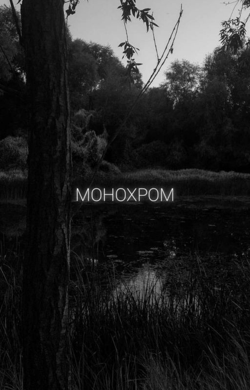 Монохром