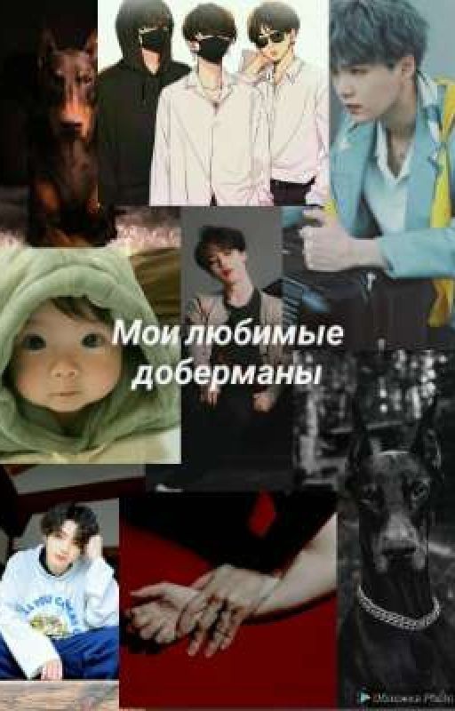 Мои любимые - доберманы