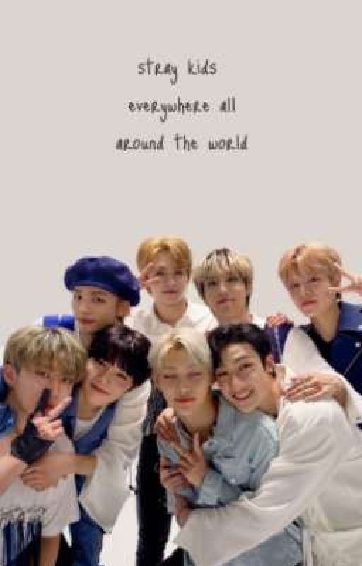 9 участница stray kids