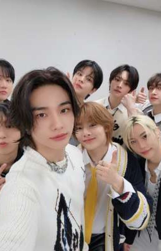 ★stray kids★ <хенликсы> °Минсоны° и возможно •сынчоны•