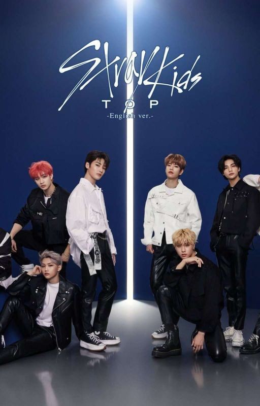 Факты и Биография о Stray Kids