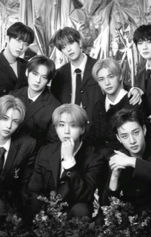 одна на всех|stray kids