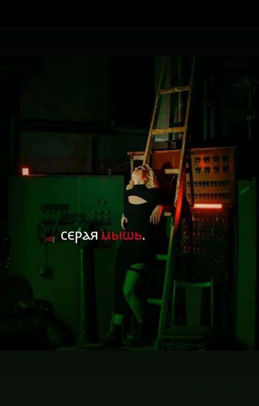 серая мышь