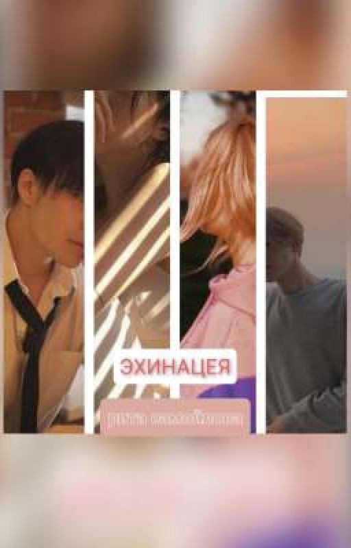 Эхинацея