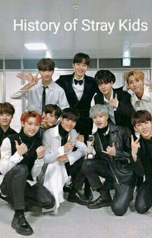 History  of Stray Kids