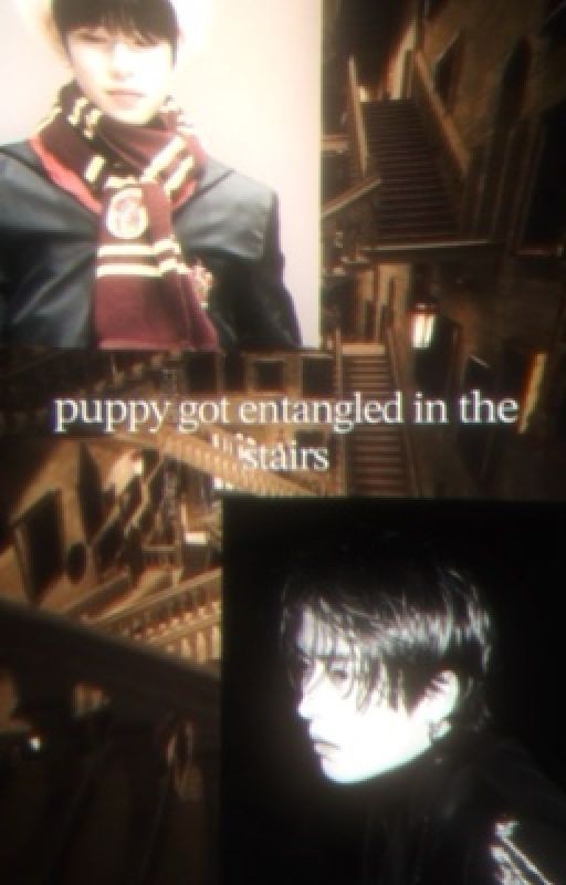 puppy got entangled in the stairs
