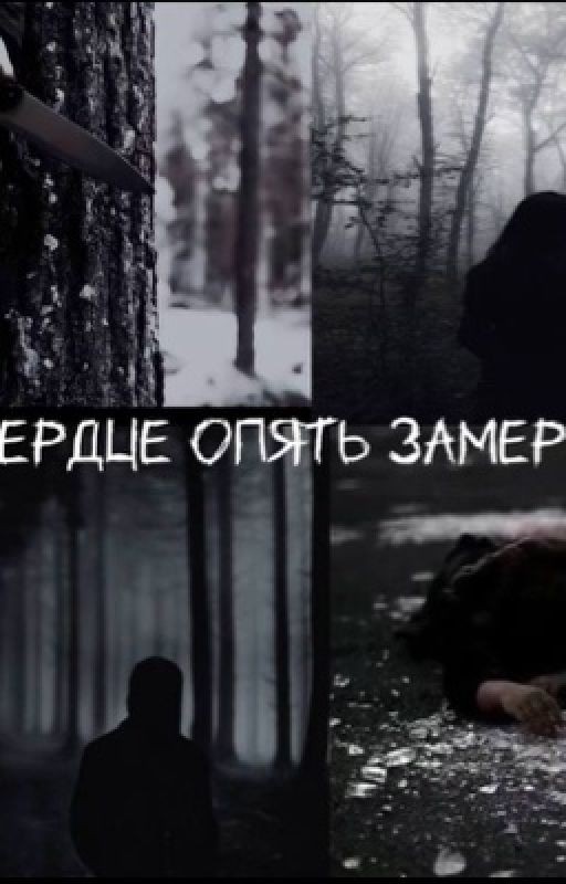 Сердце опять замерло 1