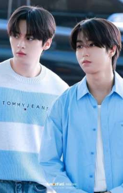 Прости меня Джисон~и |Минсоны|