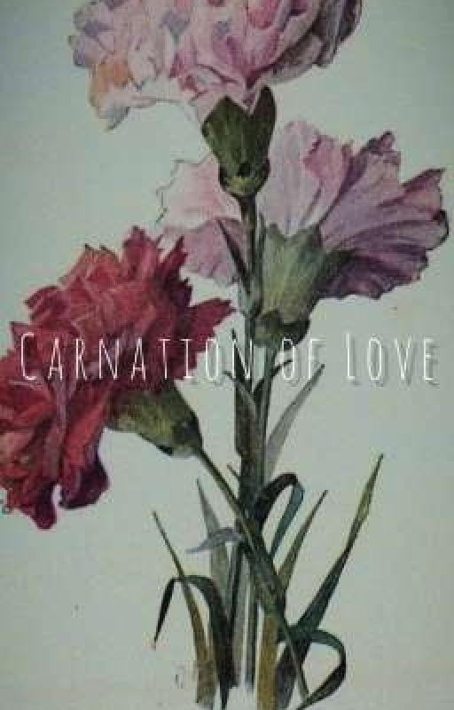 Carnation of Love