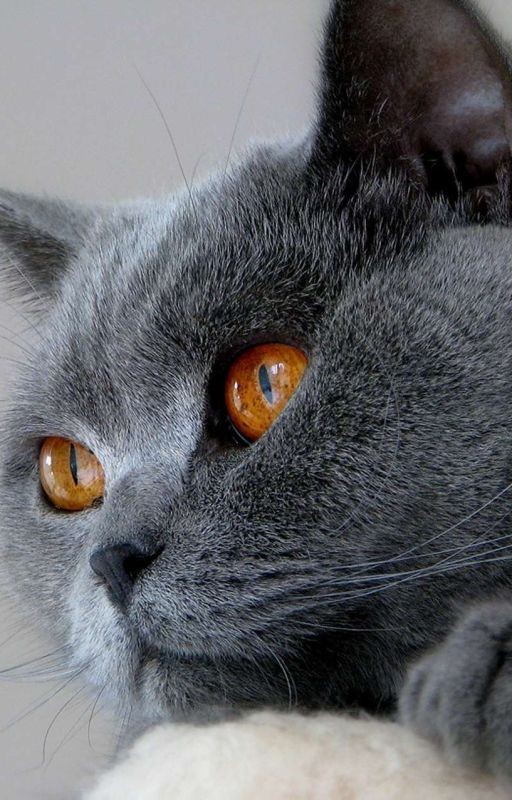 ~Ого, Какая Милая..~