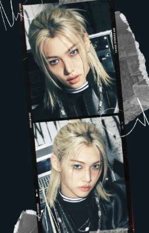 Коп под прикрытием: в логове Stray Kids ( Felix x Stray kids