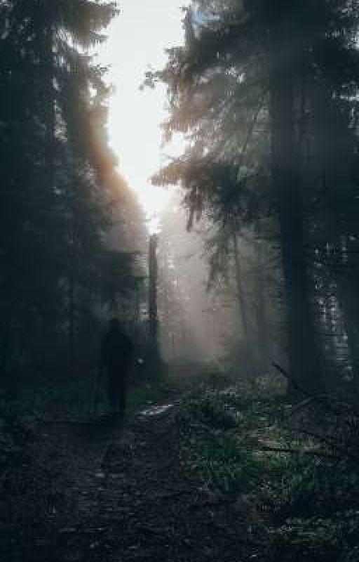 Назад дороги нет