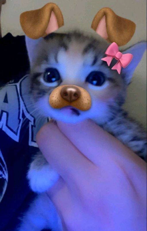 🎀✨13 карт и Т/и 1 часть✨🎀