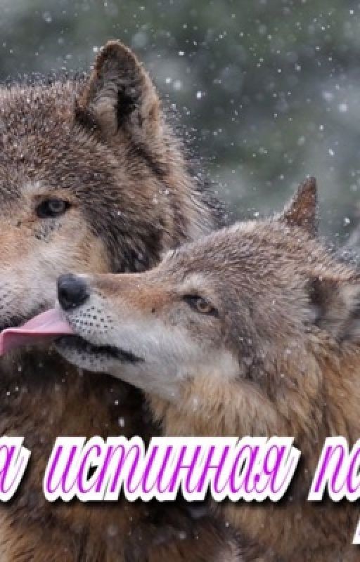 Моя истинная пара