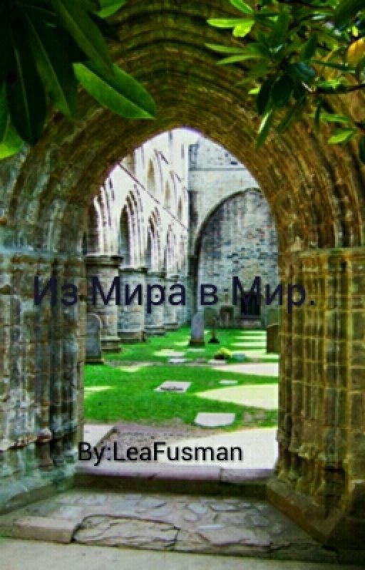 Из Мира в Мир