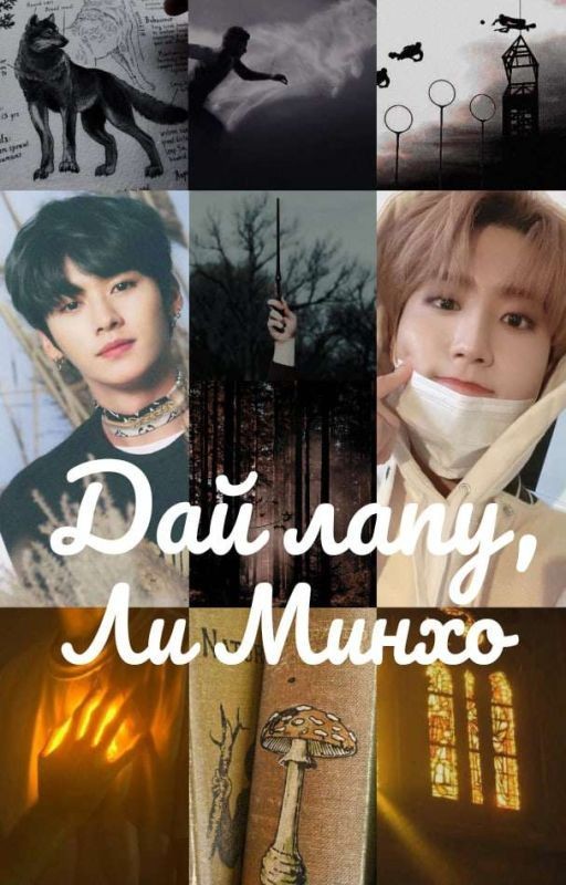 Дай лапу, Ли Минхо | Stray Kids