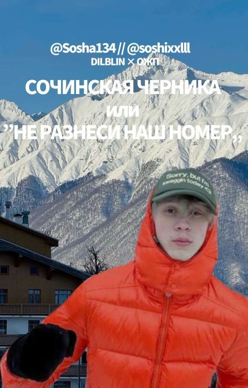 «сочинская черника» или «не разнеси наш номер» // Dilblin