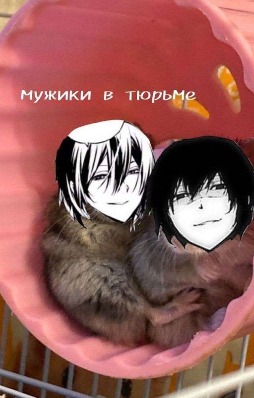 Мой дорогой
