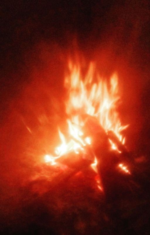 настоящая Россия (закончен)