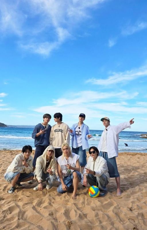 Реакции Stray kids