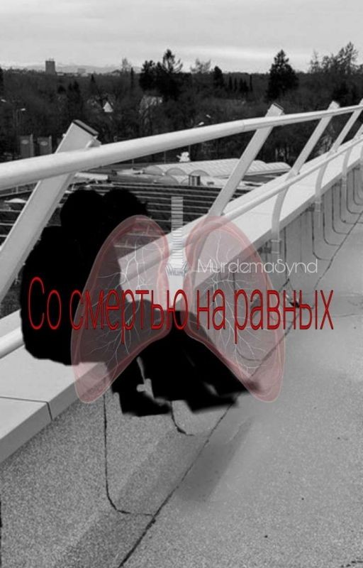 Со смертью на равных
