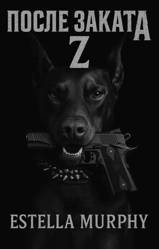 После Заката Z