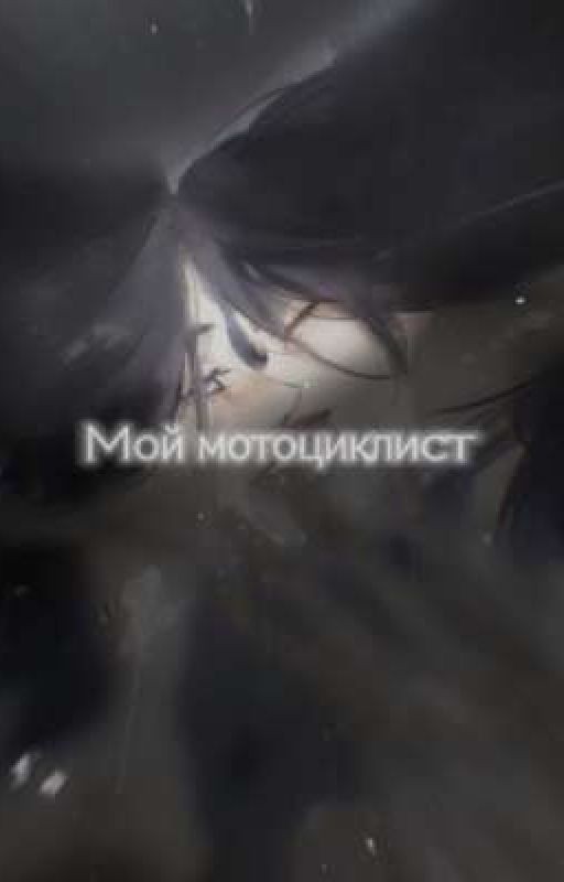 Мой мотоциклист