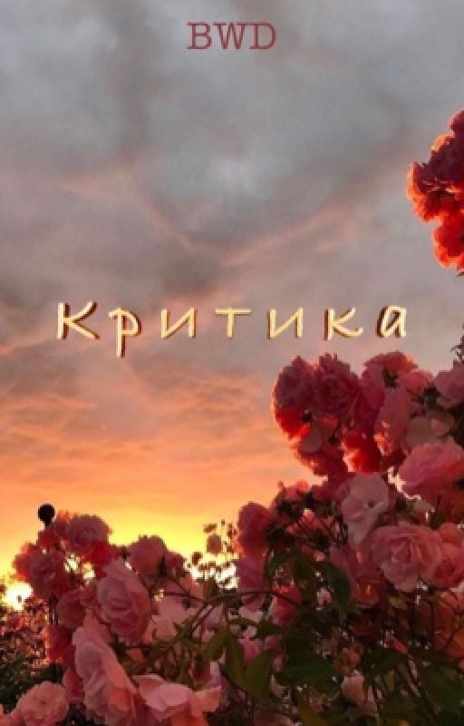 Критика