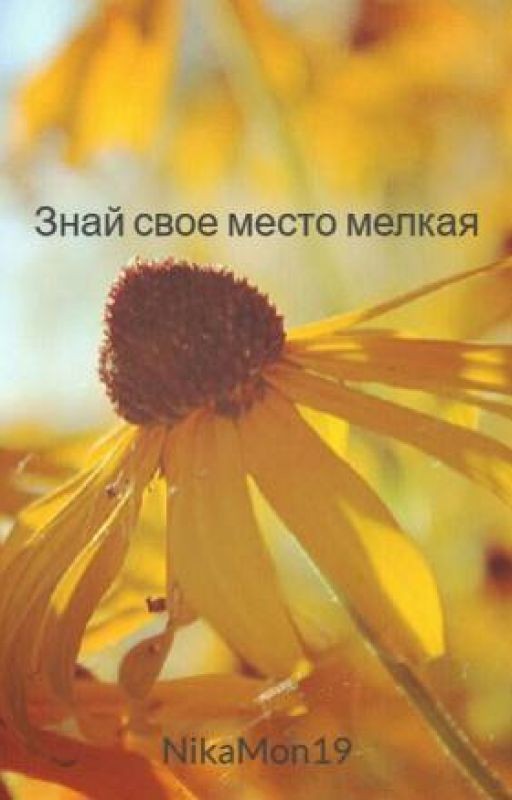 Знай свое место, мелкая