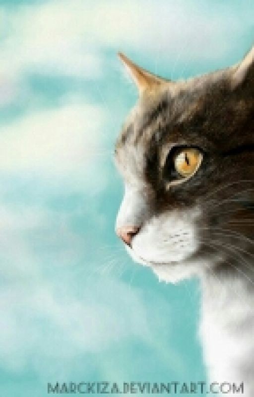 Коты Воители: Выжить В Огне