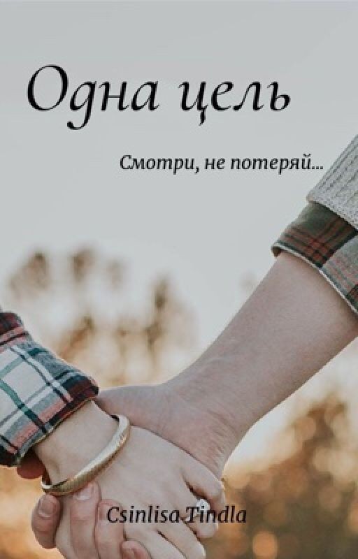 Одна цель