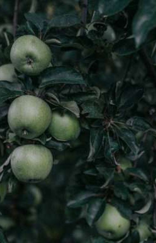 Запах яблок🍏(ЗАМОРОЖЕН НА ДВА ГОДА!)