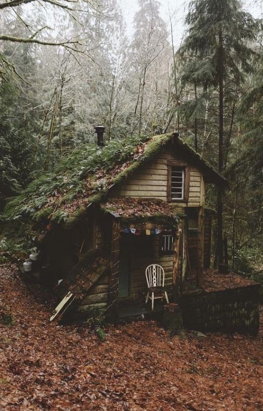 Little Dark Age