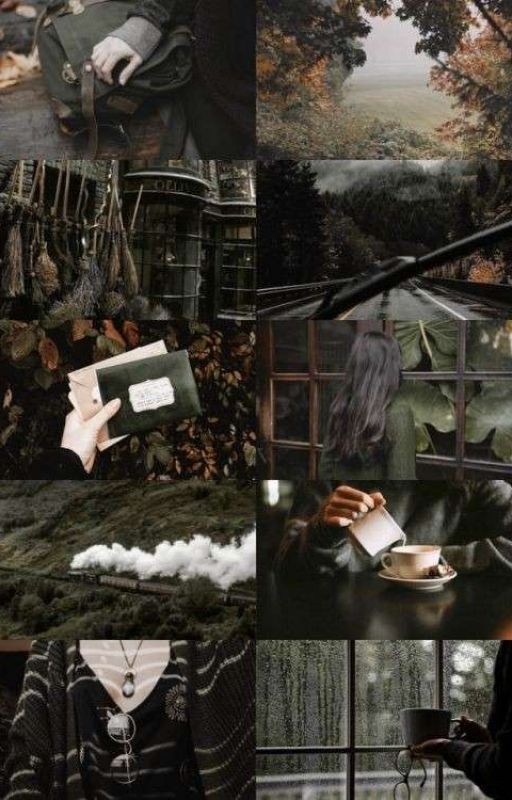 POTTERIANA