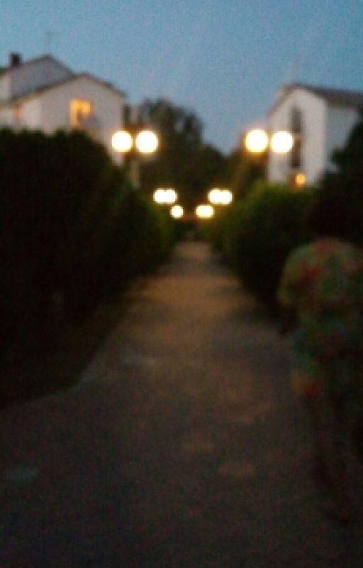 Истории о любви. Сборник