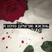 wolf-single