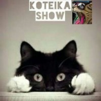 koteikayt