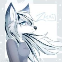 niko-fox956