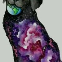 stella2008280308